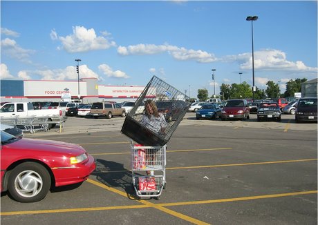 PrincessBlueyez star du porno chaude images