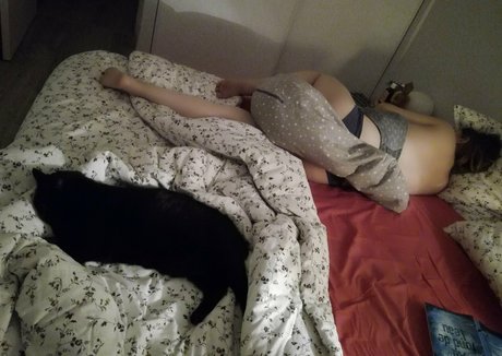 chaton potelé uniquementfans sexe chaud image