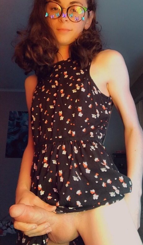 Harper Finch étoile parfaite galeries