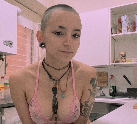 covergore 666 étoile magnifique image