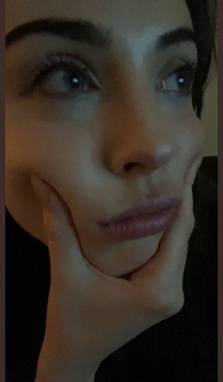 Purrityy belle étoile galeries