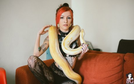 Juh Connie étoile parfaite galerie