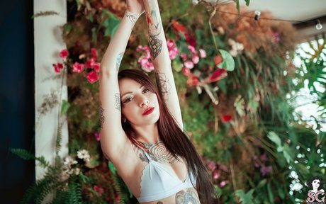 Juh Connie jolie star du porno images