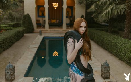 Jessica Lynette Brooks haut de star du porno img