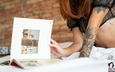 Gingereddit étoile parfaite galeries