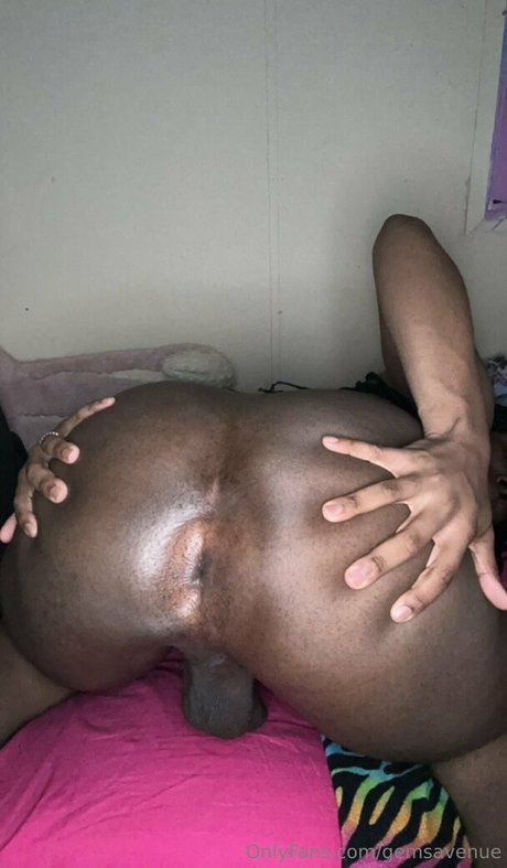 gemsavenue étoile sympa galeries