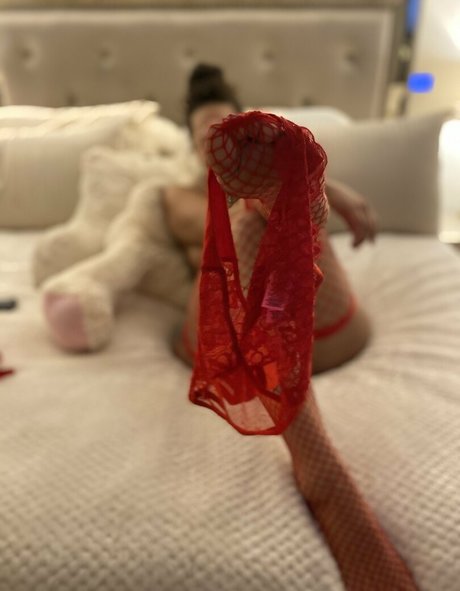 Taelermade étoile hd galerie