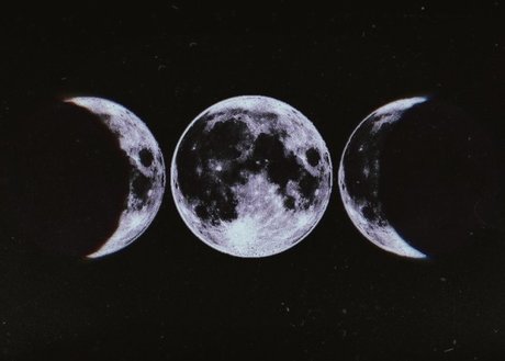 Freya Marcellina meilleure étoile images