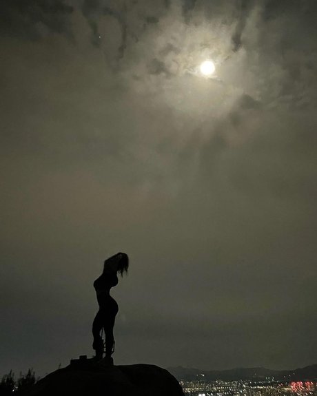 Dajin art star du porno image