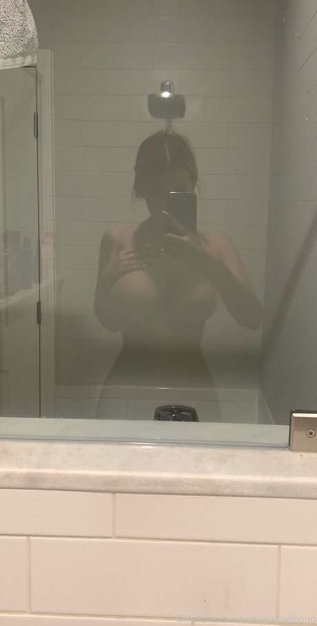 Lexis Wilson nus star du porno img