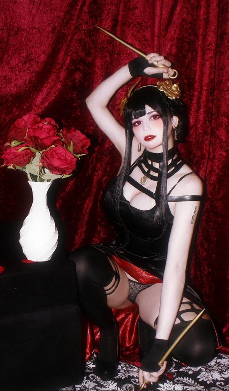 Little mewi meilleur modèle galeries