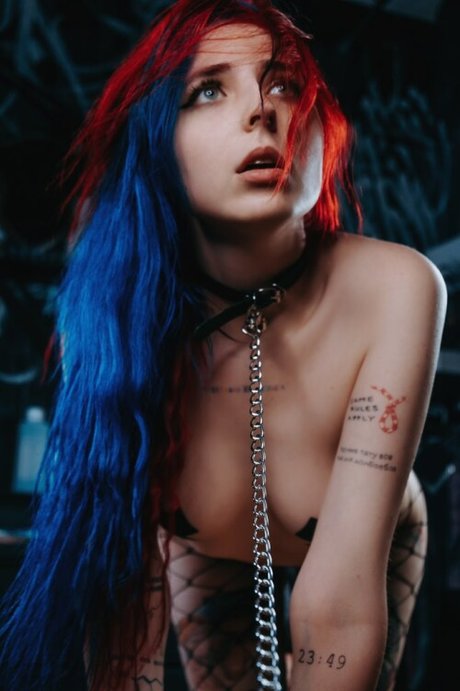 Sib Mouse étoile sympa archive