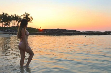 Vicki Li étoile chaude image