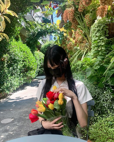 Jilan nus de stars du porno image