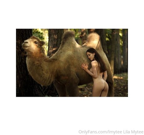 lmytee nus star du porno images