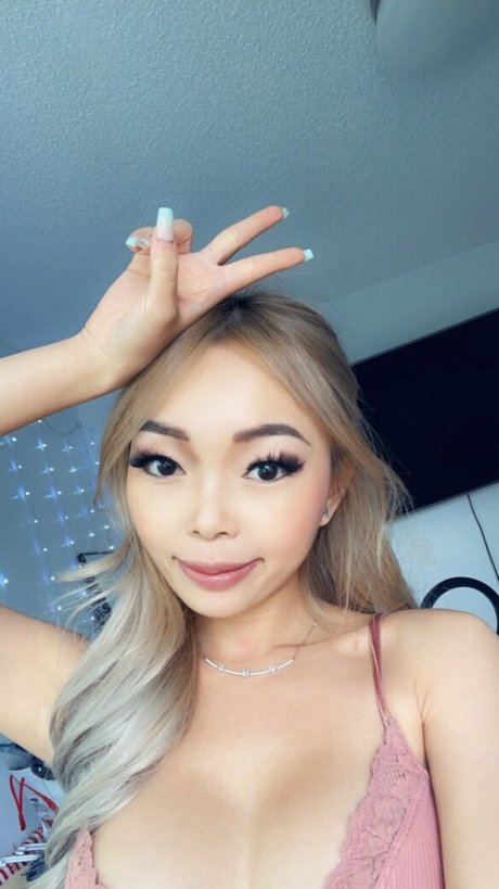 V boo modèle galerie