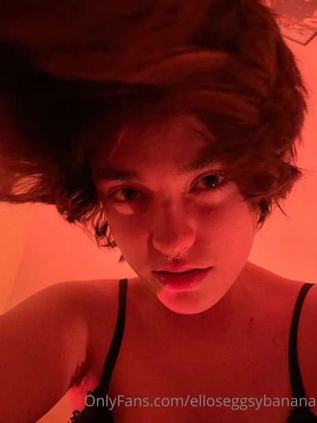 Jules Roscoe meilleure étoile galeries