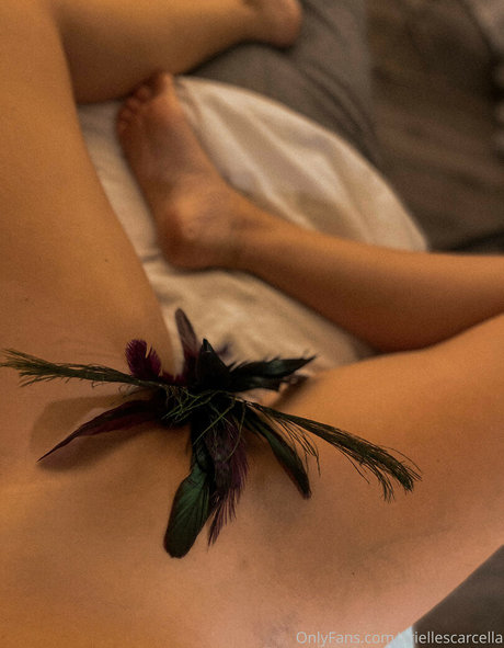 Arielle Scarcella star du porno de haute qualité images