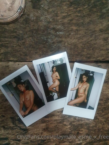 Playmate Esme_ star du porno belle des photos
