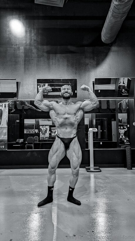 Michael Forte modèle porno archive