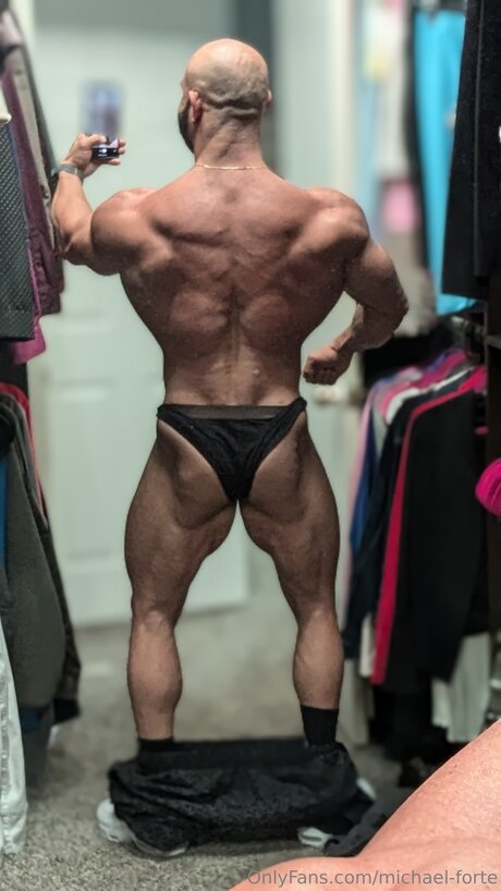 Michael Forte modèle galerie