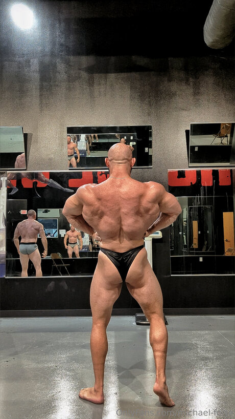 Michael Forte étoile parfaite galeries