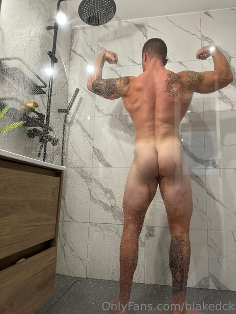 Blakedck étoile gratuite galerie