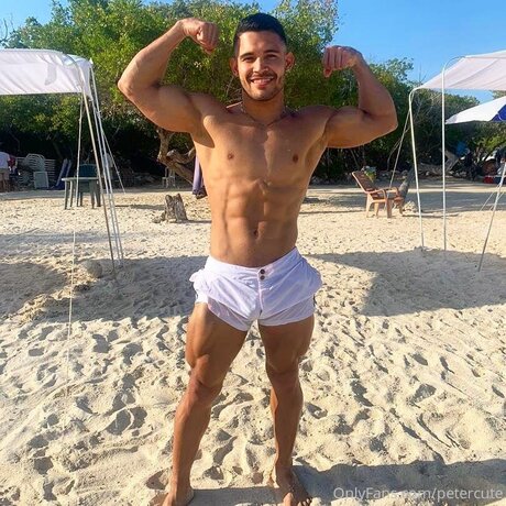 Petercute beau modèle collection