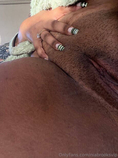 Niabrooksvip modèle gratuit archive