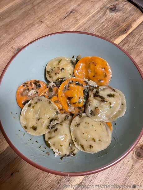 Cheddahbounce modèle magnifique archive