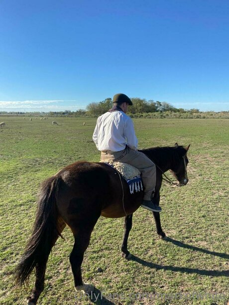 Markofwhite étoile hd archive