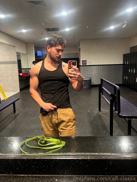 Colt Classic étoile hd image