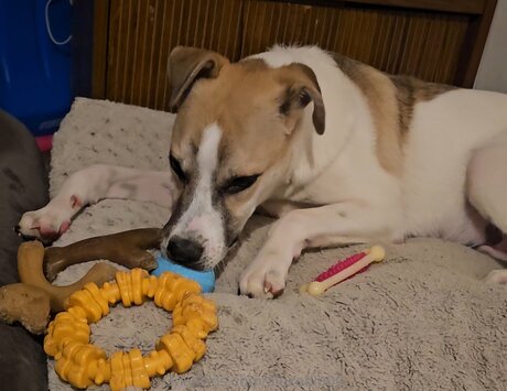 Alexablu00 modèle érotique images