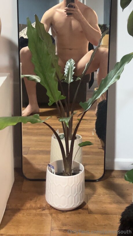 Jamessouth art modèle galeries