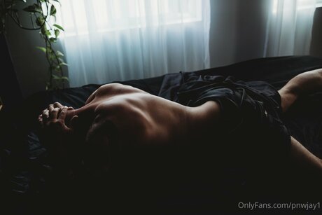 Pnwjay1 modèle image