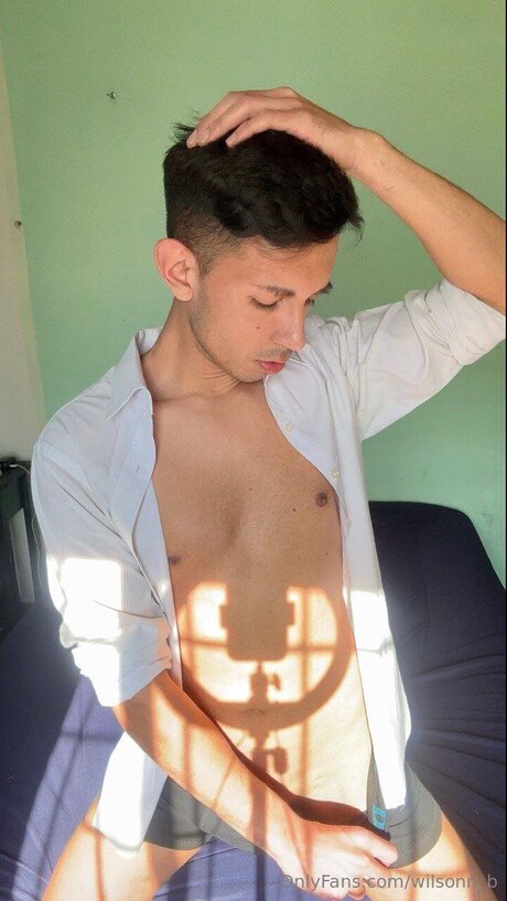 Wilsonn B nus de stars du porno photos