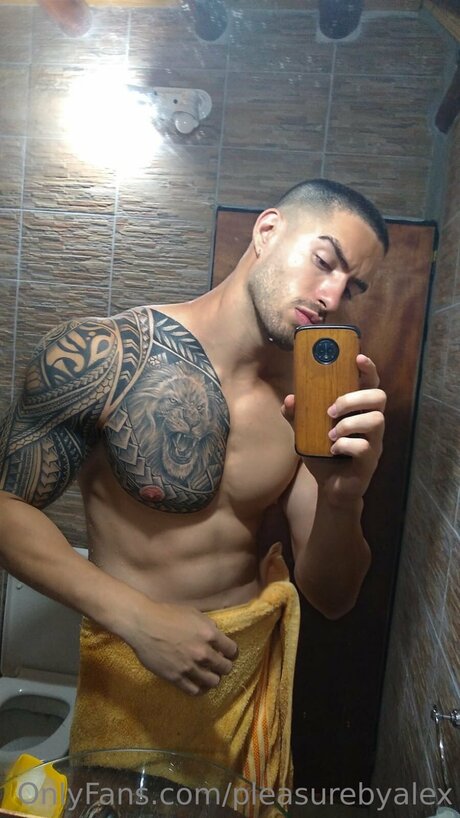 Pleasurebyalex art de star du porno image