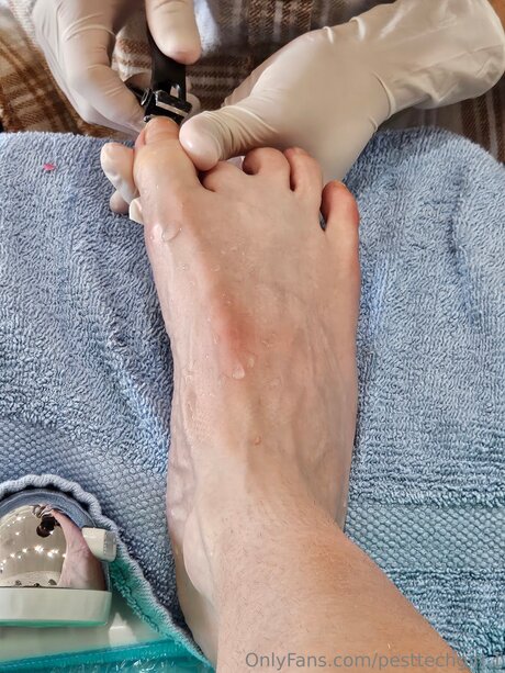 Pesttechgirl 1 modèle meilleur archive