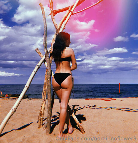 Norainnoflower3 star du porno chaude galerie