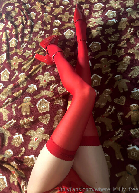 Where Is Lily Free sexe star photos