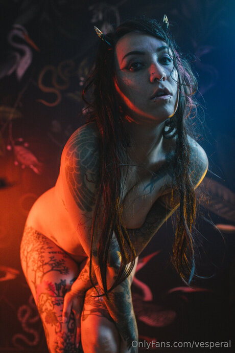 Vesperal étoile de l'art des photos