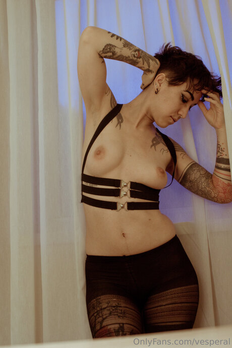 Vesperal haut de star du porno archive