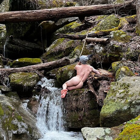 Mistercalix meilleure star du porno img