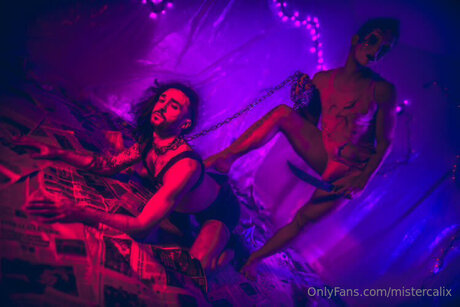 Mistercalix art étoile collection