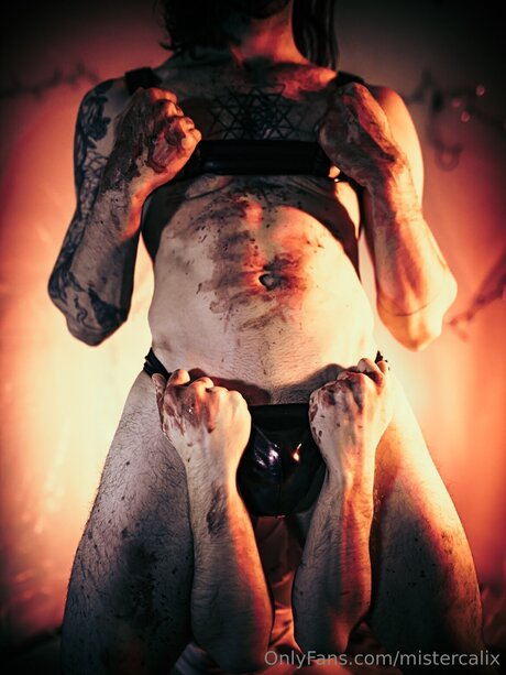 Mistercalix star du porno gratuite des photos