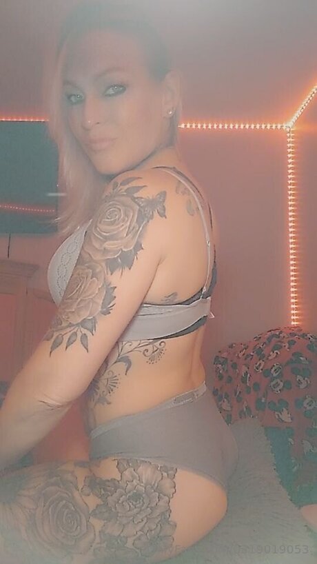 U319019053 étoile photos