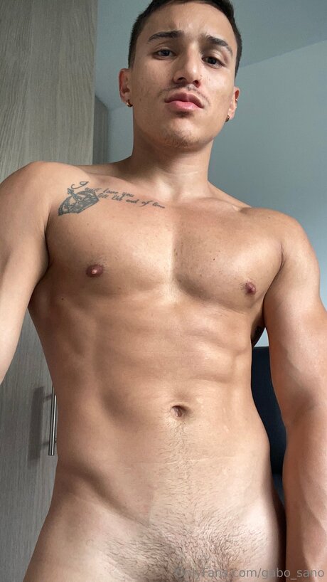 Gabo Sano1 art star du porno photos