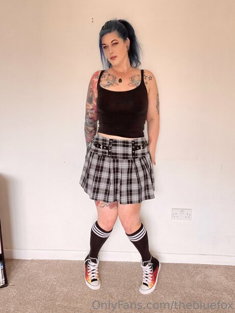 Thebluefox haut étoile galerie