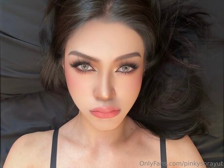 Pinkysorayut nus étoiles galerie