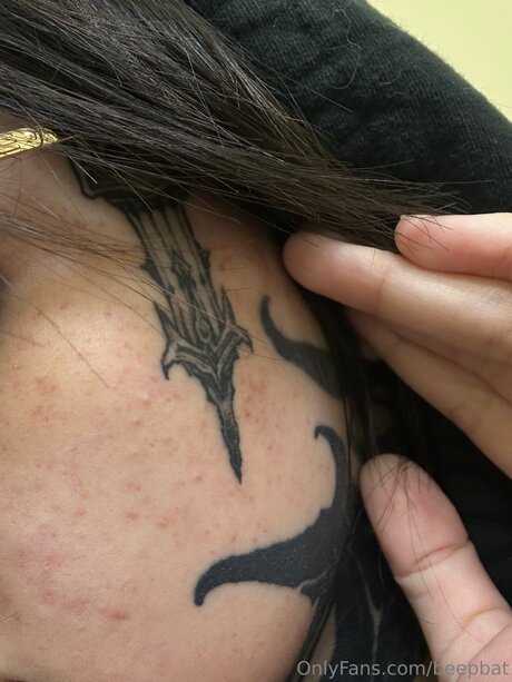 Beepbat modèle artistique img